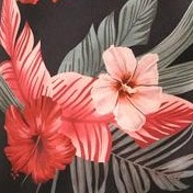 black tiger floral