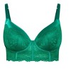 Women's Plus Size Allure Demi Longline Bra - kelly green | CITY CHIC - 2 of 4