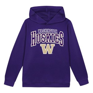NCAA Washington Huskies Toddler Boys' Poly Hooded Sweatshirt - 1 of 1