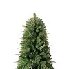 Home Imports Emporium Traditional Artificial Fir Christmas Prelit Tree with Lights, Green - 4 of 4
