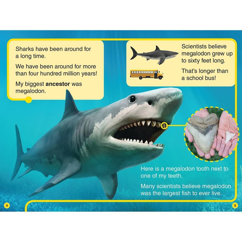 Discovery All Star Readers: I Am a Shark Level 2 - by Lori C Froeb (Paperback), 2 of 4