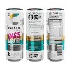 Celsius Sparkling Oasis Vibe, Functional Essential Energy Drink, 12 Fl Oz (Pack Of 12) - 3 of 4