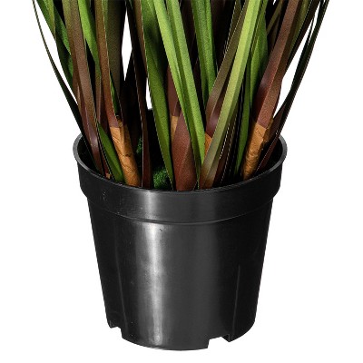 36" Green Plastic Potted Grass and Eucalyptus Arrangement