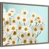 Amanti Art Daisy Love II by Judy Stalus Canvas Wall Art Print Framed 24 x 18-in. - 3 of 4