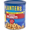 Planters Lightly Salted Made With Sea Salt Cocktail Peanuts - 16oz - image 4 of 4