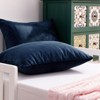 2 Pack Zippered Velvet Toddler Pillowcases, Cozy Luxury Plush Travel Pillow Cases - NTBAY - 2 of 4