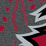 tampa bay buccaneers