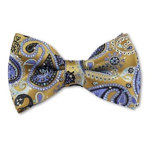 Men's Paisley Color 2.75 W And 4.75 L Inch Pre-Tied adjustable Bow Ties - 1 of 3