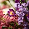 Sullivans Artificial 20" Wildflower Bush - Set of 3 - 2 of 4