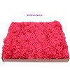 Floral Home 5" Stem Long Fuchsia Carnation Pick - 100-Piece - 4 of 4