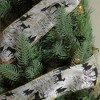 Northlight White and Black Playful Reindeer Christmas Wired Craft Ribbon 2.5" x 10 Yards - 3 of 3