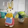 National Tree Company 14" Fluffy Female Bunny Table Decoration, Easter Collection - 2 of 3