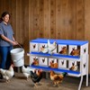 Chicken Nesting Boxes, 6 Hole Roll Away Nest Box for Chicken and Poultry to Collect Eggs, Egg Laying Boxes for Chicken Coop - 3 of 4