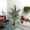 HomeStock  6 ft. Artificial Palm Tree in Pot for Indoor/Outdoor - 3 of 3