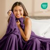 Microplush Fleece Bed Blanket by Bare Home - 3 of 4