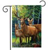 Briarwood Lane Summer Garden Flag 12x18 For Outdoor Deer Family For Summer Garden Flag Flags For Outside - 2 of 4