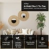 Cypress & Alabaster | Olive 2-Tier Tree In Growers Pot - 3 of 4