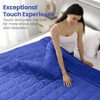 Dot Weighted Blanket, 15lbs, Queen Size, Soft Cozy Blanket for Bed and Couch, Breathable with Glass Beads, Blue 60x80 Inches - 3 of 4