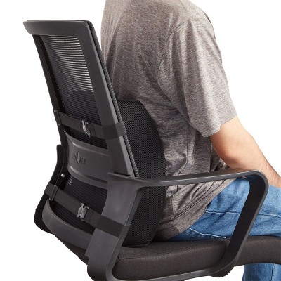 Lumbar Support Cushion Target