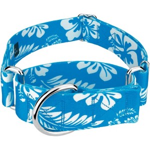 Country Brook Petz 1 1/2 Inch Martingale Dog Collar - Summer Breeze Collection - 1 of 4