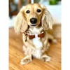 PoisePup – Luxury Pet Dog Bow Tie – Soft Premium Leather Bowtie for Small and Large Dogs - Bella Rose - 3 of 3