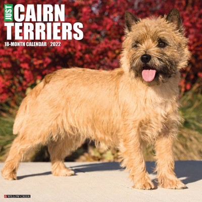 2022 Wall Calendar Just Cairn Terriers - Willow Creek Press