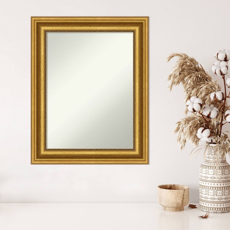 24&#34; x 30&#34; Non-Beveled Parlor Gold Wall Mirror - Amanti Art, 6 of 10