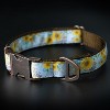 Country Brook Petz Signature Dog Collar Collection - 3 of 4