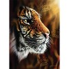 Anatolian Wild Tiger 1000 pc   Jigsaw Puzzle 1097 - 2 of 4