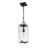 Sana Collection Outdoor Pendant Light - Black Glass, 1 Bulb, Dimmable, 18" Height - 4 of 4