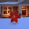 Mr. Christmas 35 in. Outdoor Twinkling LED Poinsettia - 2 of 4
