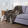 Marvel Black Panther Mbaku Silk Touch Throw Blanket 50x60 Inches - 2 of 4