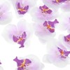 Unique Bargains Silk Plastic Durable Handcrafted Artificial Orchid Flower Heads 20 Pcs - 2 of 4