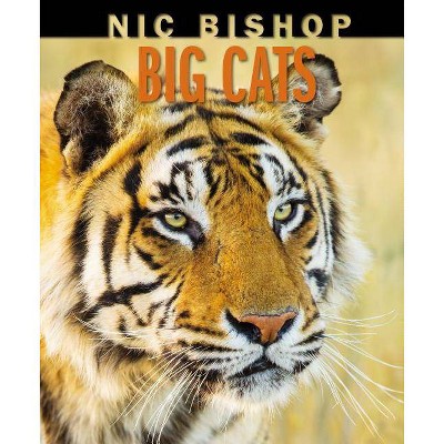 Nic Bishop Big Cats - (Hardcover)