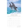 2026 Square Wall Calendar, Dolphins, 16-Month Animals Theme with 180 Reminder Stickers (12x12 In) - 3 of 4
