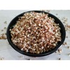 Organic Moth Beans / Matki Beans - 64 oz (4Lb) 1.8 kg - Sheel Brand - USDA Certified Organic Product - 2 of 2