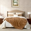 Cozy Bliss Faux Fur Plush Decorative Blanket, Cozy Warm Striped Throw Blanket - 3 of 4