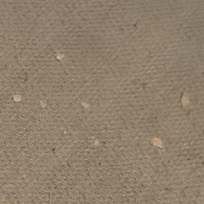 Guest review image 1 of 2, zoom in