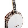 Recording King Carl Jackson Signature Lonesome Dove Resonator Banjo Tobacco Sunburst - 4 of 4