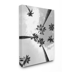 Stupell Industries Black and White Sky Through Palm Trees - 1 of 4