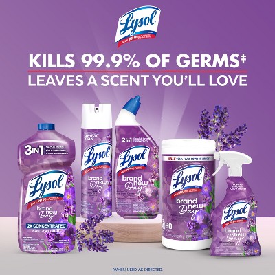 Lysol Lavender Concentrated Multi Surface All Purpose Cleaner - 48 fl oz