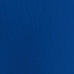 royal blue/black mesh