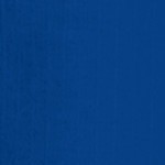 royal blue/black mesh