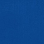 royal blue/black mesh