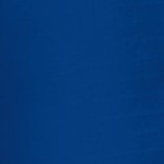 royal blue/black mesh