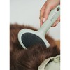 Dexypaws: Slicker Brush - Small - Sage Green, Dog & Cat Grooming Tool - 2 of 4