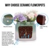 GDFStudio Briar Modern Patio 2 Piece Gradient Ceramic Flowerpot - 4 of 4