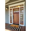 Design Imports  Hi! Doormat - 3 of 4