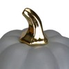 Northlight 7" Gray and Gold Fall Harvest Ceramic Pumpkin Decoration - 4 of 4