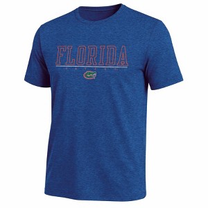 NCAA Florida Gators Men's Short Sleeve T-Shirt - XXL : Target